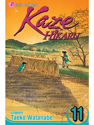 cover image of Kaze Hikaru, Volume 11